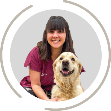 fichier exe site clinique 10