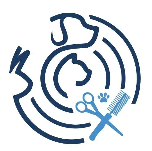 448318974 1073538427898635 100377279790664029 n