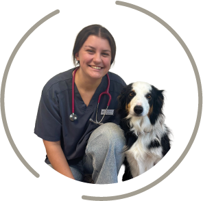 DR VAN OPPENS clinique vétérinaire bosc le hard