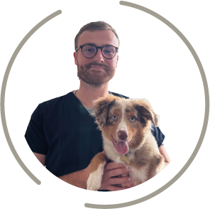 Dr Hermant Clinique Vétérinaire Neufchâtel-en-Bray
