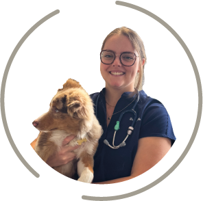 Dr Vancoille Clinique vétérinaire Neufchâtel-en-Bray
