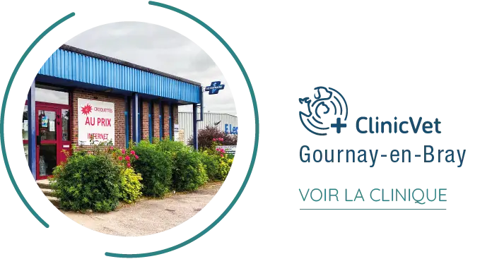fichier exe site institutionnel 29