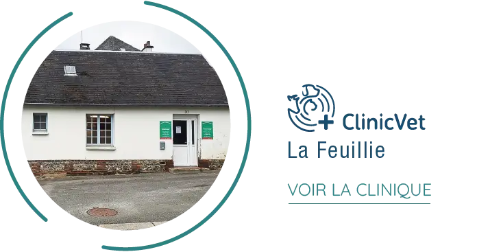 fichier exe site institutionnel 31
