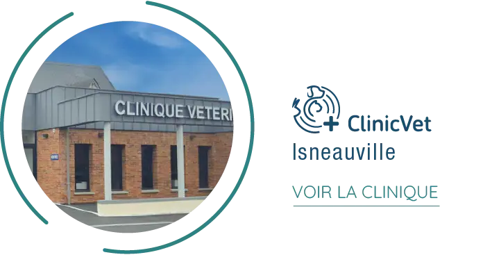 fichier exe site institutionnel 32