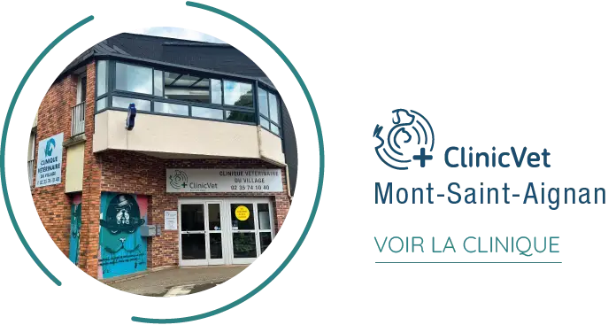 fichier exe site institutionnel 33