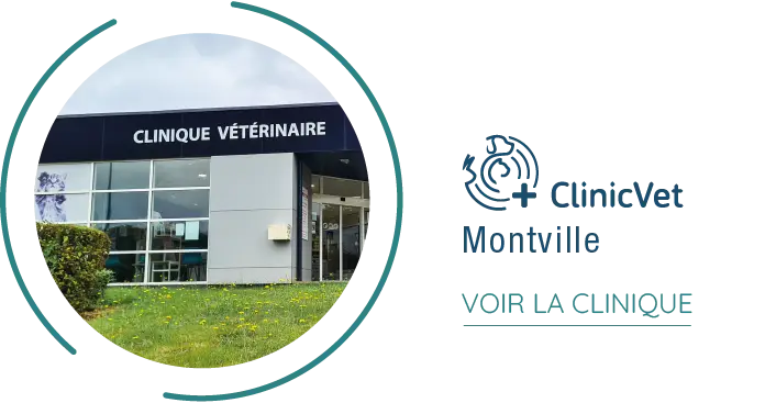 fichier exe site institutionnel 34