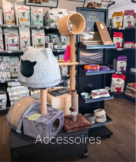 magasin toilettage fichier exe site 05