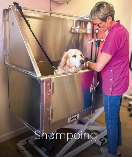 magasin toilettage fichier exe site 07