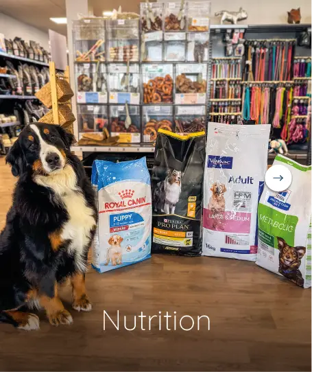 magasin toilettage fichier exe site 08