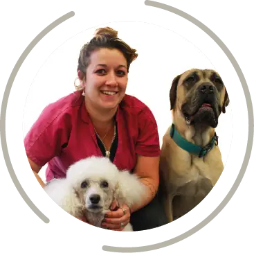 magasin toilettage fichier exe site 10