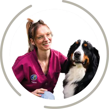 magasin toilettage fichier exe site 11