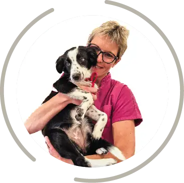 magasin toilettage fichier exe site 12