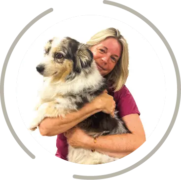 magasin toilettage fichier exe site 13