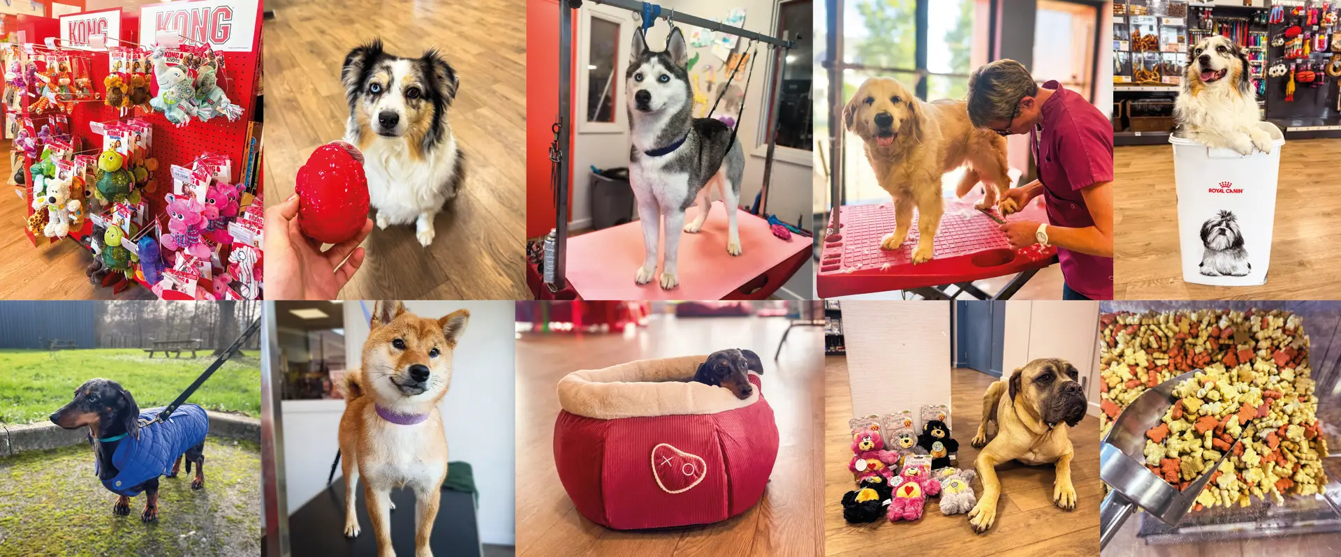 magasin toilettage fichier exe site plan de travail 1 copie 3