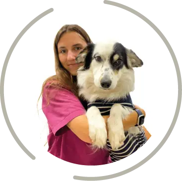 martainville fichier exe site 13