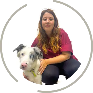 martainville fichier exe site 15