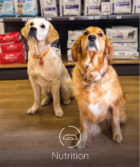 mont saint aignan fichier exe site 04