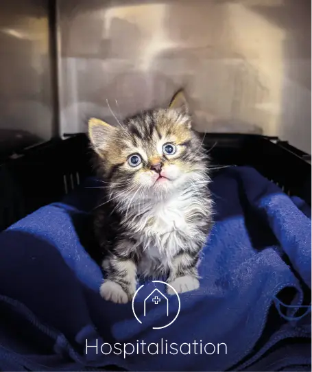 mont saint aignan fichier exe site 09