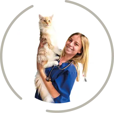 mont saint aignan fichier exe site 10