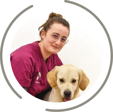 mont saint aignan fichier exe site 12