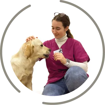 mont saint aignan fichier exe site 13