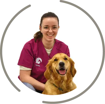 mont saint aignan fichier exe site 14