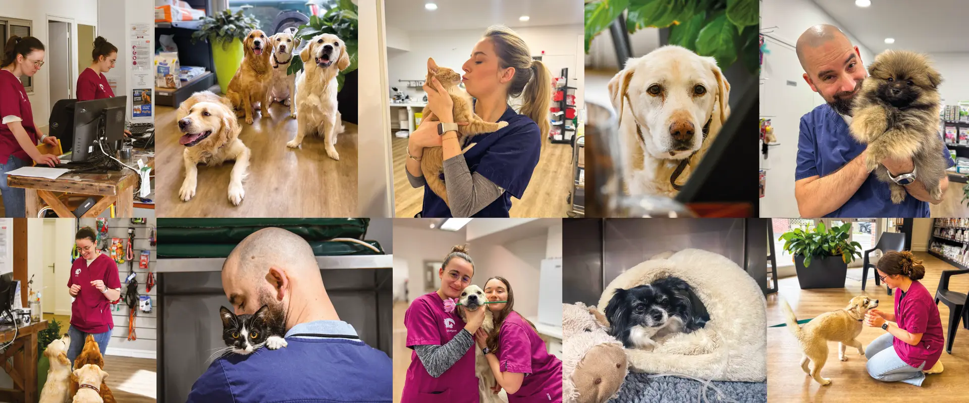 mont saint aignan fichier exe site plan de travail 1 copie 3