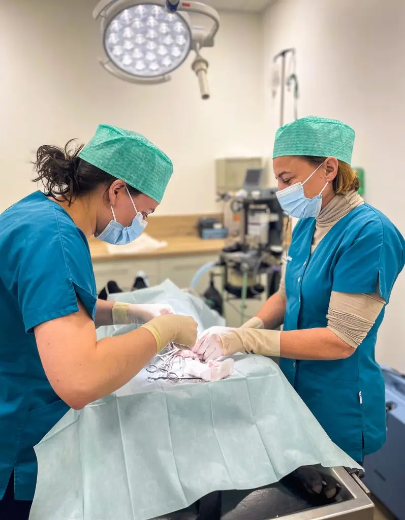 veto beaumont le roger