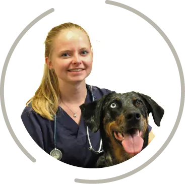 fourcamont fichier exe site 11