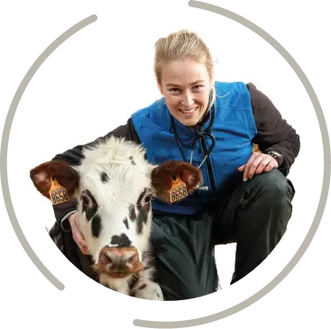 fourcamont fichier exe site 16