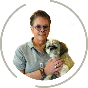 fourcamont fichier exe site 19