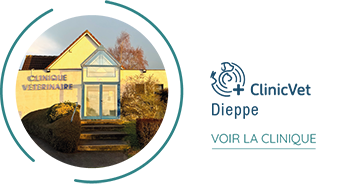 dieppe site institutionnel 01