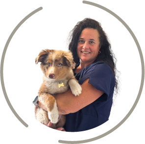 Dr Buchet Clinique vétérinaire Dieppe