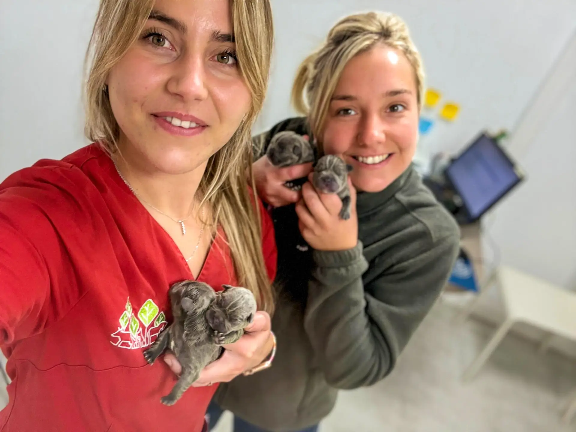 whatsapp image 2025 10 09 at 16.22.23 2